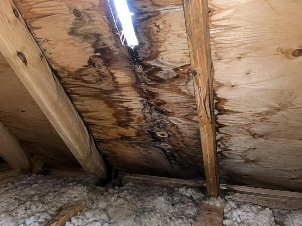 Roof Leak Water Damage service example in a residential setting